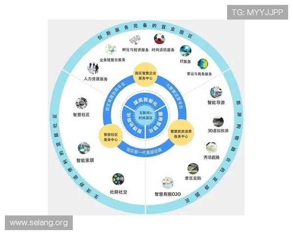 深入解析凯时官网登录，体验无缝的登录体验